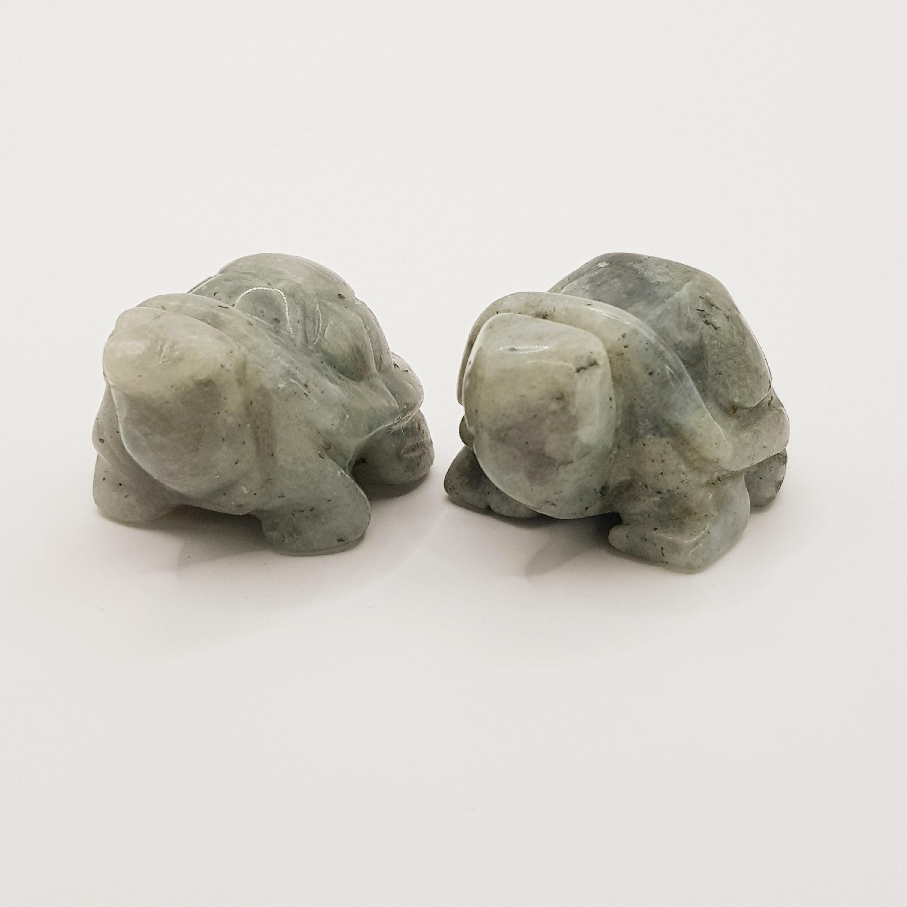 Schutzschildkröte aus Labradorit - World of Crystals