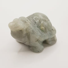 Schutzschildkröte aus Labradorit - World of Crystals