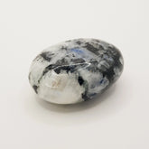 Regenbogen Mondstein-Palmstein – 5cm, Handgefertigt - World of Crystals