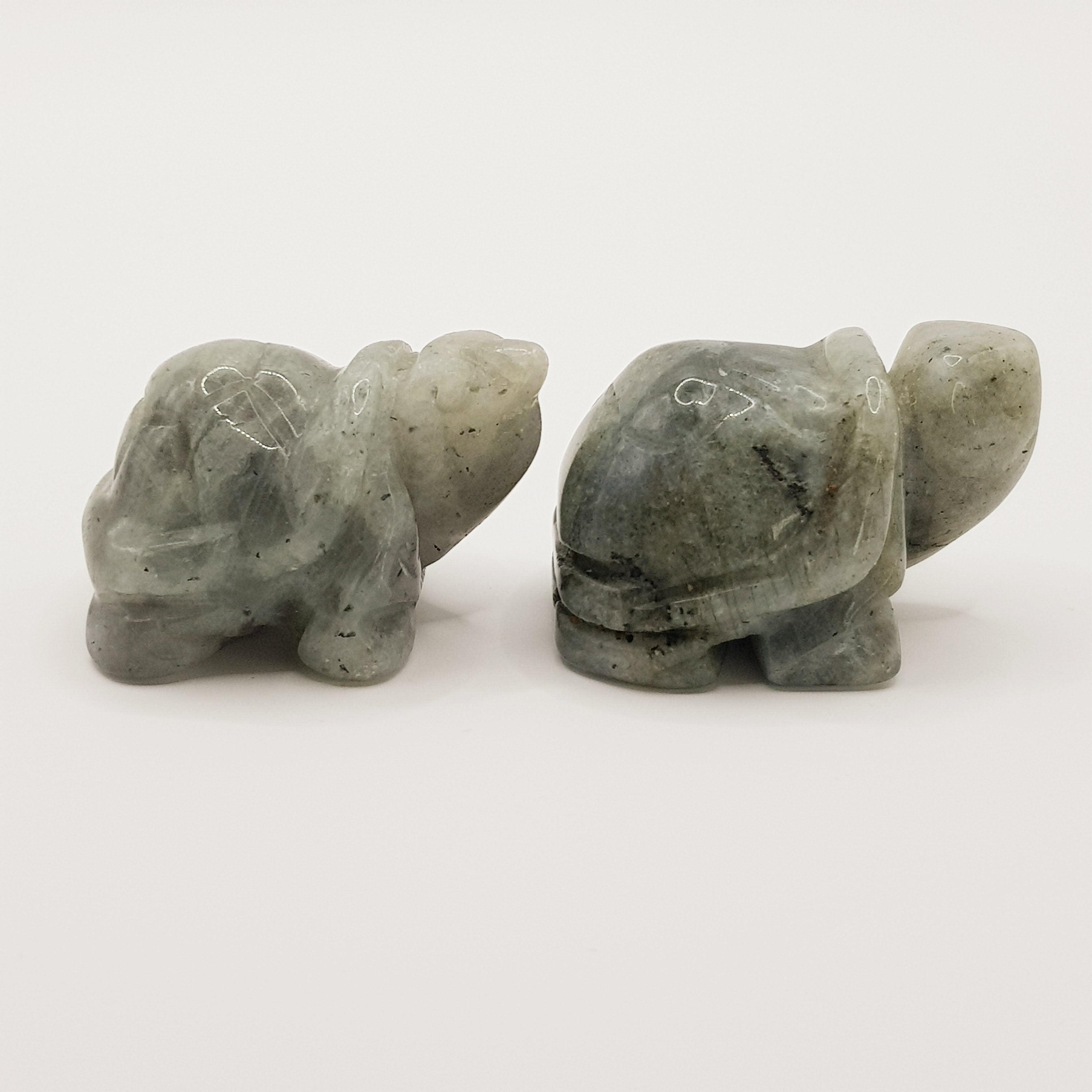 Schutzschildkröte aus Labradorit - World of Crystals