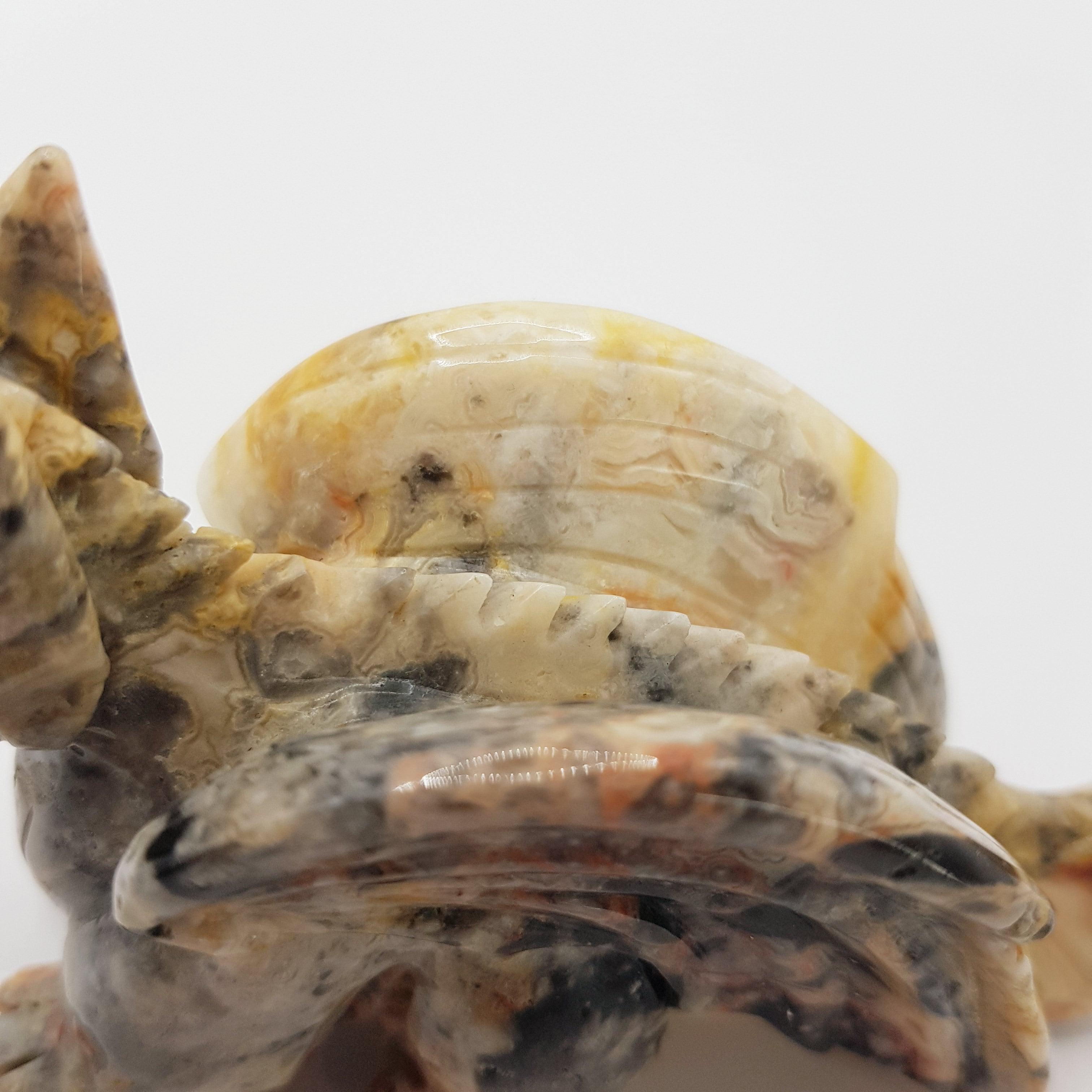 Mystischer Drache aus Crazy Lace Achat - World of Crystals